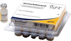 Logotipo produto Bronchiguard