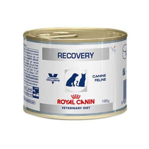 Logotipo produto Recovery Alimento Úmido p/ Cães e Gatos
